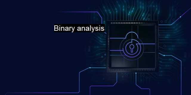 What are Binary analysis?