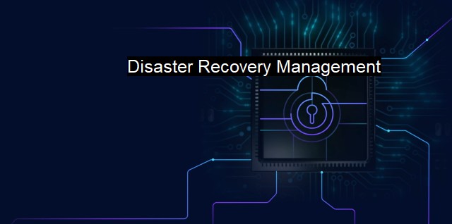 What is Disaster Recovery Management? Proactive Business Continuity Management