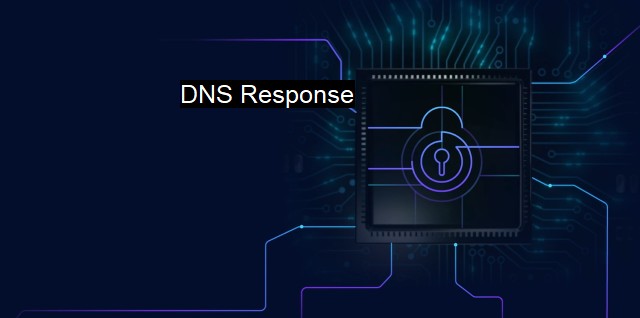 What is DNS Response? - The Importance of DNS Security