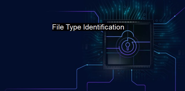 What is File Type Identification?