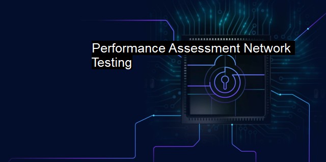 What is Performance Assessment Network Testing?