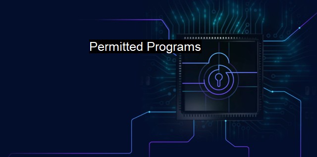 What are Permitted Programs? Authorized Access for Software Security