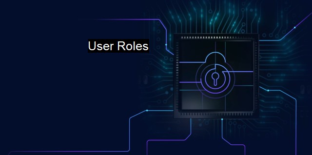 What are User Roles? The Vitality of Customized Access for Cybersecurity